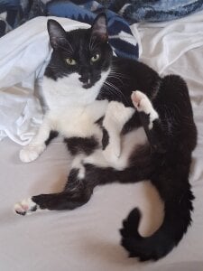 pena633 Public Pic 6