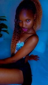 Nedambale Public Pic