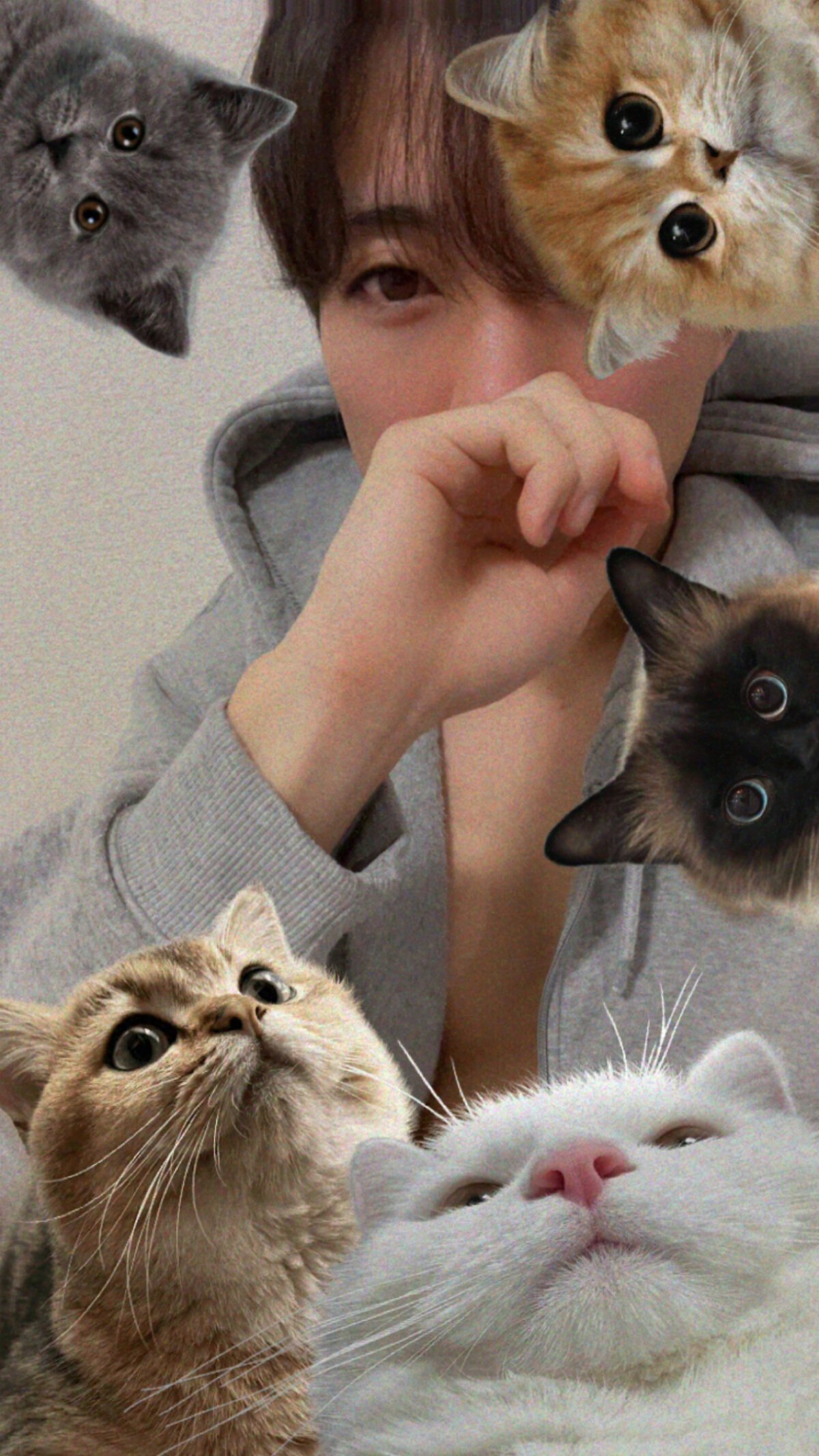 Yumadeath 热门图片 52