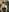 GingerSnap33 Live Stream Photo Requests Pic 7