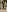 Nikky_Divine SUOLE//SOLES Photo 5