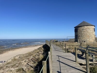 jpedro2b 🔈✈️🏖️💶 Immagine  3