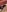 TatianaX0x0Random 🍑 pics照片 2