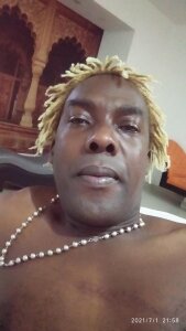 Public de sharpei  3 photos