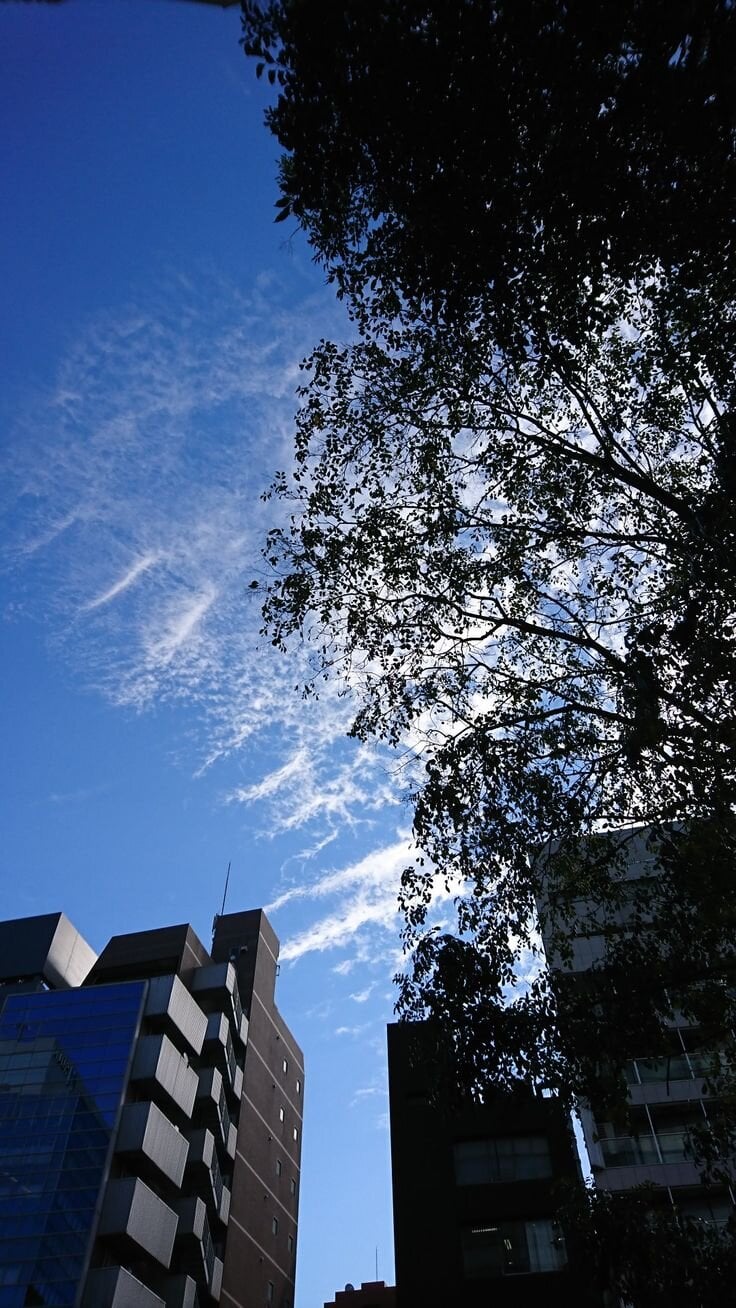 Lucii_fer_ Trending Pic 9654