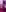 luluspussycamUnterwäsche照片 6