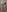 Alisha_Shy Alisha takes a shower after the streams💦🫦 Pic 8