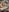 AlyonaX Naked tan? :d Pic 6