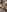 QueenJaya_876 POV: Facesitting 🪑 Pic 7