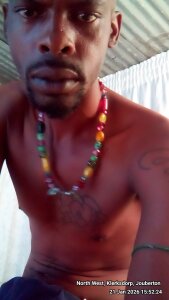 Catsty: Public ( 2 фото)