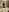 Mini_And_The_Bear Peek See Pic