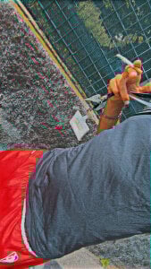 Elrumano26 kullanıcısının Public albümü -  2 fotoğraf