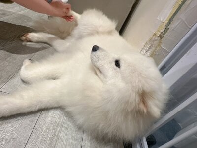 amu_nyan_cute Public Pic 3