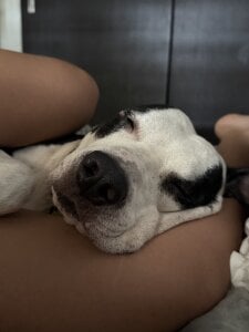 ArianavilladaのTaison Cornelio 🐾の 6枚の写真