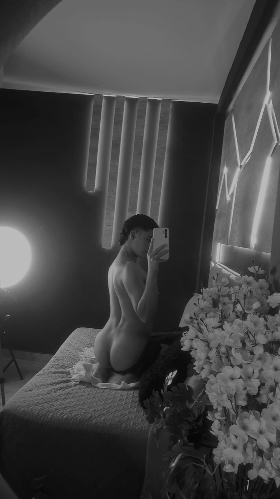 FemNoa 热门图片 8488