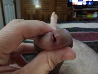 lionprofile78 Public Pic 8