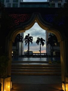 Butterflygi Public 圖片