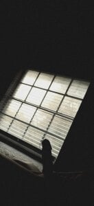 RecuerdameGansito Public Kuva 2