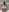 Scarlett-BonnetLook at these hot photos I have for you 🔥照片 2