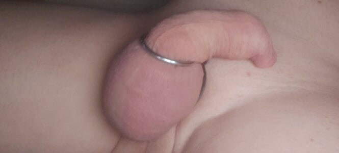 geschorenpik49 Mijn pik Bilde 8