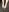 KiraHarmann Photos of the foot from above Pic 5