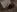 Cherry_Rose_xox Nude and back view Pic