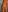 Orianna_Foxparadise beach照片 8