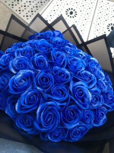 foxy_tease_ A little bit of my vibe Pic 5