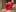 Yuriko_May CHRISTMAS MOOD Pic 9