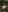 littleinkedblaise666 Naked in nature 🌿 Pic 8