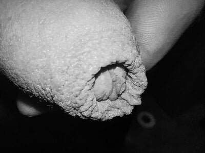 LuuXus If you like please give a rating Immagine  2