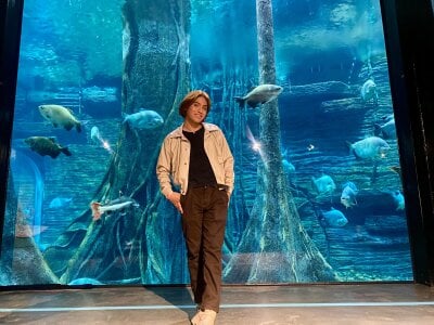 immersing myself in the calm and beauty of the aquarium od imgerver  snímek