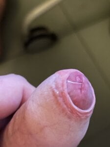 -D-a-d-d-y Public slika 2