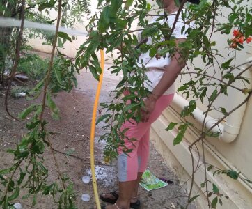 tamilswetha_telugu