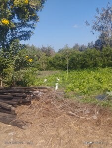 t_g1234tabangasex6 Public зображення 7