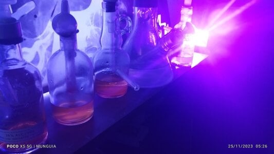 MichelleDosAmantes@xh Grandes Placeres Foto 6