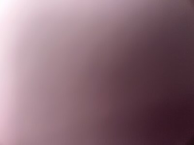 Brunomps70813👀图片