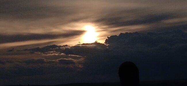 Pavlosss Public Bilde 6