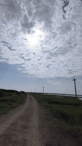 Riyansh_mehta Public Pic