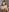 Anna_Six pack with titties Pic