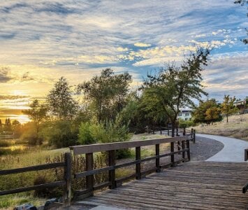 BigCockLatinaTS What A Nice View Here In LA Foto 3