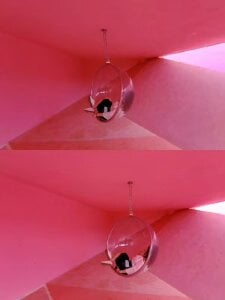 cosplay_LiLi 日常😁😁😁 사진 6