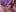 AlexaBright shibari ⛩️ Pic 2