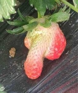 SlushySatellite523 Public Foto 6