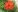 Var_Kiss My garden beauty Photo 2