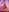 salome_glez6 Hey my love Pic 5