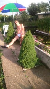 Costy601 Public Kuva 6