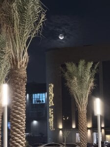 cutefatii Public صورة واحدة|cutefatii Public صورتان|cutefatii Public  3 صور|cutefatii Public  3 صورة