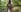 TilaTotti Flashing on a Trail in Public Pic 4