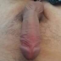 swecockforhead Cock/kuk Kuva